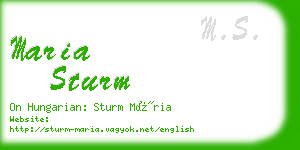 maria sturm business card